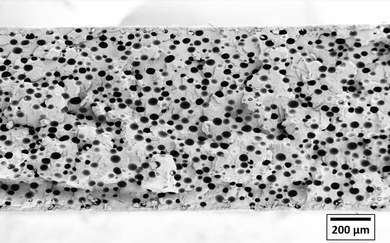 Microcell Extrusion: PET Schaumstruktur mit < 50 µm Zellen