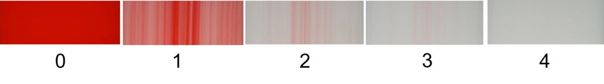 PP-Folienextrusion, Farbwechsel von Rot auf Weiß; Folie nach 0/1/2/3/4 Mischervolumen